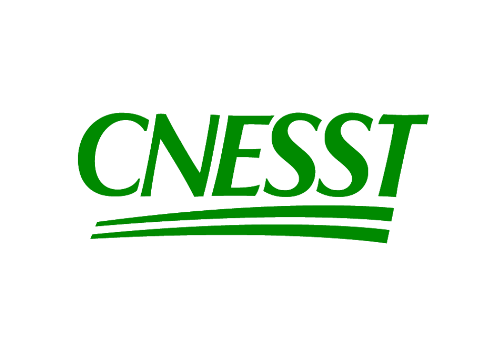 Formation obligatoire des comités de santé et de sécurité (CSS)